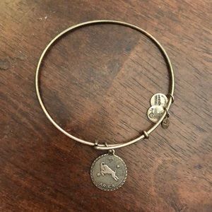 😍Aries charm alex & ani